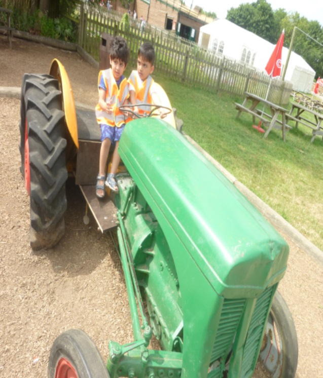2018-Odds-Farm Image 3